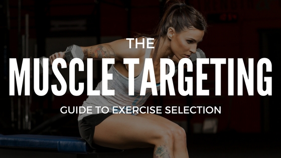 Muscle Targeting Guide To Exercise Selection