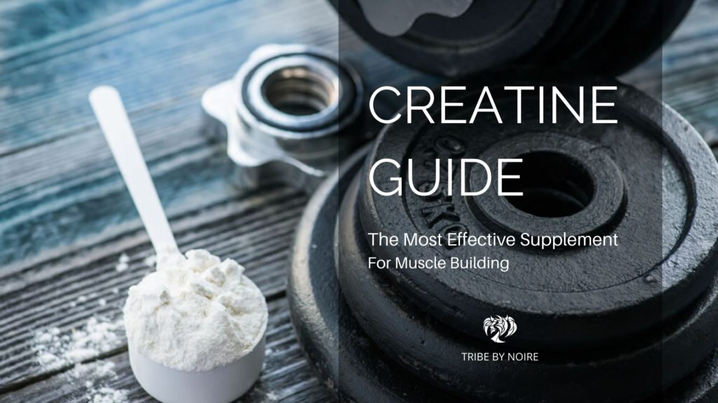 Creatine Guide For Muscle Building